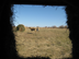 View from inside deer blind
